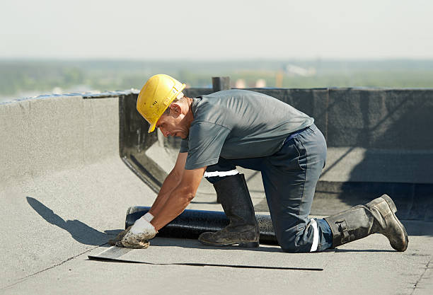 Best Insulation Replacement Services  in Columbiana, AL